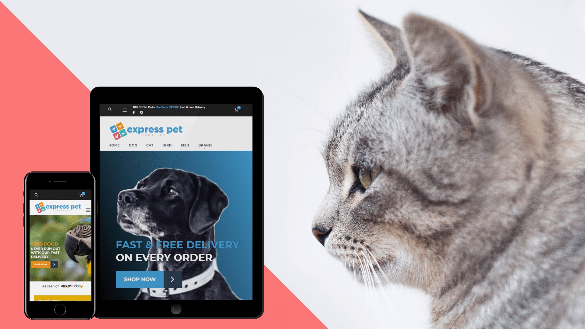 Rebranding and new website for Express Pet Supplies TAD360